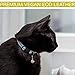 Leather Cat Collar, Cat Collar with Elastic Strap,Kitten Collar with Bells, Gift, Colors: Black, Orange, Green, Pink, Purple, Small Pets, Medium, Boy, Girl, Baby (3-Pack, Red,Blue,Black)