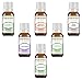 Essential Oil Set 6-10 ml Therapeutic Grade 100% Pure Tea Tree, Lavender, Eucalyptus, Lemongrass, Peppermint & Sweet Orange. for Skin, Body and Aromatherapy Diffuser