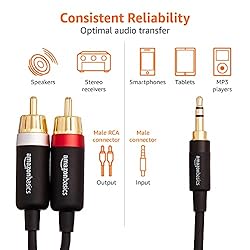 Amazon Basics 3.5mm to 2-Male RCA Adapter Audio