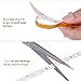 Lepro 12V LED Strip Light, Flexible, SMD 2835, 300 LEDs, 32.8ft Tape Light for Home, Kitchen, Party, Christmas and More, Non-Waterproof, Daylight White, Pack of 2(Not Include Power Adapter)