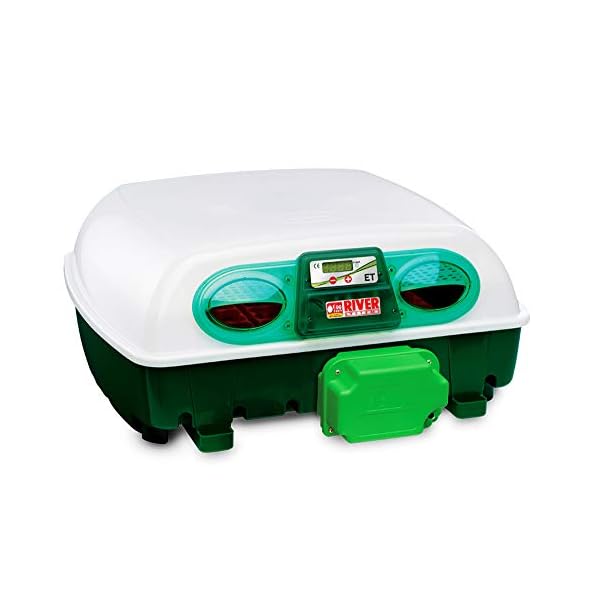 Incubatrice Per Uova Automatica Digitale Con Girauova, Capacità 49 Uova Di Gallina, Anatra, Oca, Tacchino, 196 Uova Di…