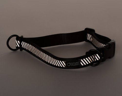 Stunt Puppy Go Dog Glo Everyday Collar, Black