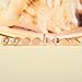 Ruarua Rose Gold Stud Earrings for Women Stainless Steel Heart Mini Bar Earring Line Ear Studs Stick (Rose Gold)