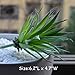 5 PCS Artificial Succulent Plants Unpotted in Flocked Fake Realistic Succulents for Home Gardern Diy Decoration