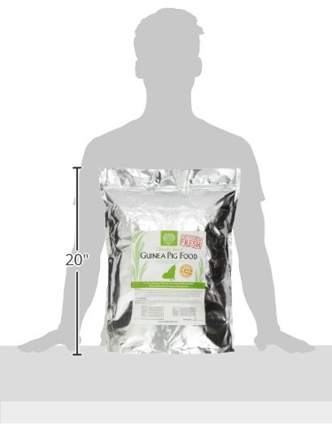 Small Pet Select Guinea Pig Food Pellets, 10-Pound