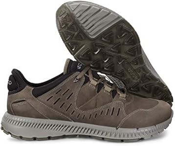 ecco terrawalk hiking shoes