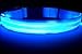 Great-Dealz LED Dog Collar to Keep Your Dog Safe, Flashing Dog Collar with Extra Batteries, Your Best Friend Deserves Safe Night Walks