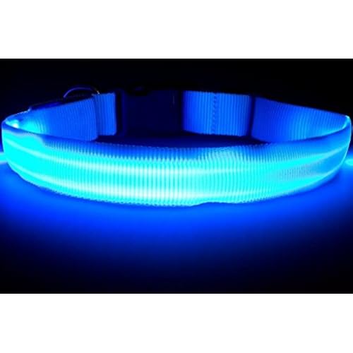 giveaway gift ideas on amazon related to Pet Supplies huge collection of products that are Basic Collars, under $20