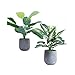 U'Artlines 2 Pack Artificial Plants Topiary Shrubs Fake Plants with Gray Pot for Tabletop Bathroom House Decoration