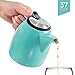 Tealyra - Drago Ceramic Teapot Turquoise - 37oz (4-6 cups) - Large Stylish Teapot with Stainless Steel Lid Extra-Fine Infuser To Brew Loose Leaf Tea - Leed-Free - 1100ml