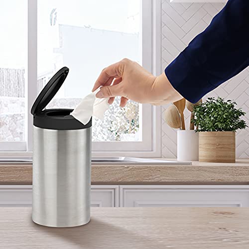 Spectrum Decorative Disinfecting Wipes Container (Satin Nickel) Refillable Dispenser For