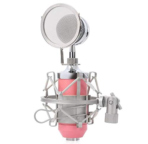 BM-8000 Sound Studio Recording Condenser Microphone with 3.5mm Plug Stand Holder