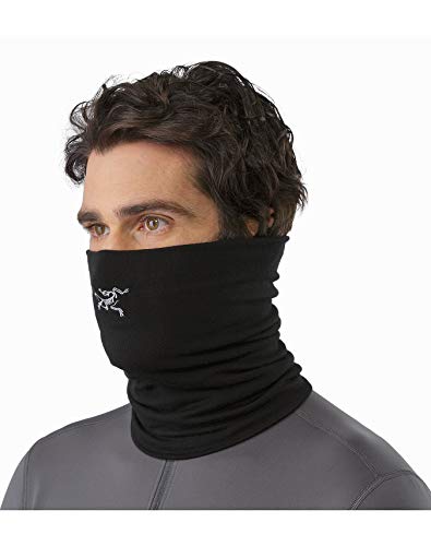 Arc'teryx Rho LTW Neck Gaiter (Black)