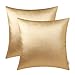 BRAWARM Faux Leather Throw Pillow Covers 18 X 18 Inches - Gold Leather Pilow Covers Pack of 2, Solid Dyed Leather Pillowcases for Couch Bed Sofa Garden Home Decorative