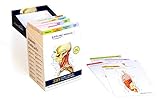 Anatomy Flashcards