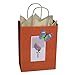 BagDream Gift Bags 8x4.25x10.5 IN 100Ct Kraft Paper Gift Bags with Handles Bulk, Halloween Party Favor Retail Shopping Craft Bags (Orange)