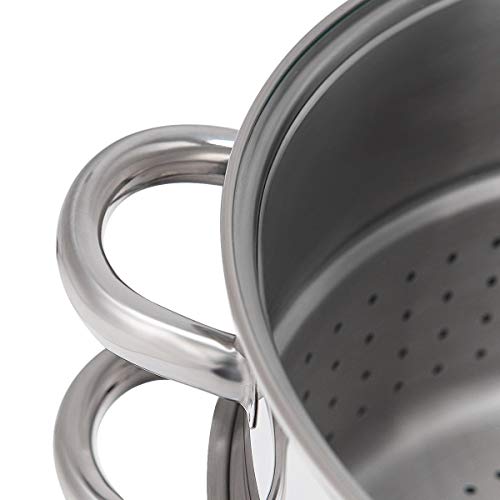 11-Quart Stainless Steel Juicer Steamer, Fruit Vegetables Steamer For Food With Glass Lid Hose With Clamp Loop Handles, Perfect Home Kitchen Stainless Steel Cookware By WATERJOY