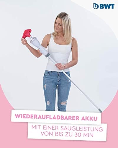 Poolsauger Akku BC02 mit Kleiner Standardpoolstange