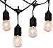 Outdoor String Lights 48 Ft, Commercial Grade Outdoor Light Strand with Hanging Sockets - Weatherproof Strand for Patio Garden Porch Backyard Party Deck Yard, 15 light bulbs included – Black