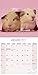 Guinea Pig Calendar - Cute Animal Calendar - Calendars 2016 - 2017 Wall Calendars - Animal Calendar - Guinea Pigs 16 Month Wall Calendar by Avonside