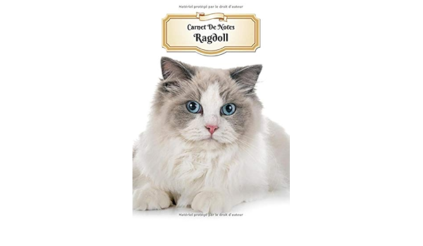 Carnet De Notes Ragdoll Chat Ou Chaton 139 Pages Avec Papier Ligne Bullet Journal Lettering Art Notes Cahier Ligned Journal Notebook French Edition Xlpress Cahiers Carnets Amazon Com Books