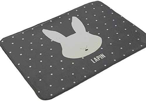 Dailydollor Cartoon Pictures Home Doormats15inchX23inch (Rabbit)