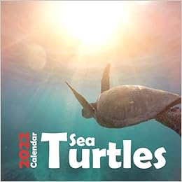Amazon In Buy Sea Turtles 2022 Calendar Cute Calendar 2022 Wall Office Calendar 2022 2023 Size 8 5 X 8 5 Inch 18 Month Calendar 2022 For Women Men Kids Sea Turtles Lovers Book Online Girly Wall Calendar 2022-2023