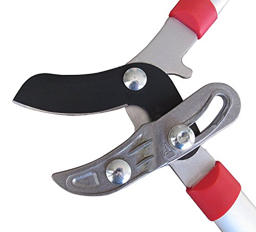 tabor tools gb30a cortadora de yunque con acción compuesta, corta ramas gruesas con facilidad, cortadora de árboles de aluminio de 30 pulgadas, cortadora de ramas con capacidad de corte limpio de 1 1/2 pulgadas.