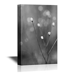 Canvas Wall Art - Flower in Black and White - Gallery Wrap Modern Home Art | Ready to Hang - 12x18 inches