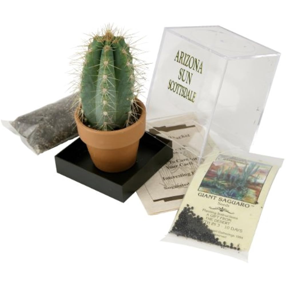 Grow Your Own Saguaro Cactus Kit Incubator Seeds Southwest Arizona