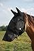 Horse Fly Mask Cover Ears Nose, All Around Barn, Stable, Pasture, Trail Riding Sun Protection and Styles