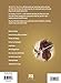 Fiddle Hymns - Violin Play-Along Volume 18 (Bk/Audio Online) (Violin Play-Along, 18)