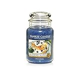Yankee Candle Blueberry Scone Large Jar Candle, Food & Spice Scent