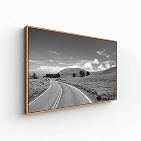 for Living Room Bedroom Monochrome Landscape Framed for