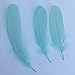 Sowder Natural Goose Feathers Clothing Accessories Pack of 100(Mint Green)