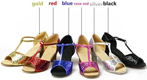 Byjia Women'S Ballroom Latin Flared Heel Dance Shoes Sequins Chunky Leather Cow Suede Salsa Tango Ankle Strap Buckle Sandals Classical