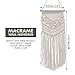 Macrame Woven Wall Hanging Wall Art - Rustic All Organic Wall Ornament - Boho Wall Decor - Perfect Interior Design for Home Workplace