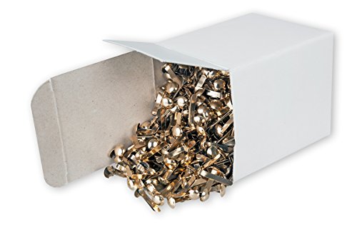 Victory Office 730Â Paper Fasteners Brass Plated 17Â x 7Â mm Pack of 1000