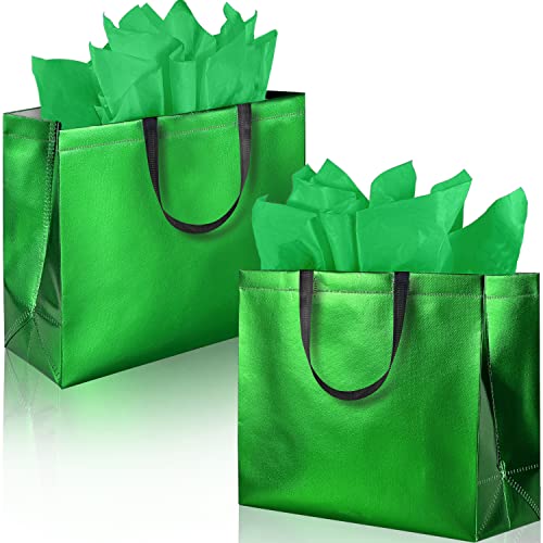 BLEWINDZ Green Gift Bags Large Size