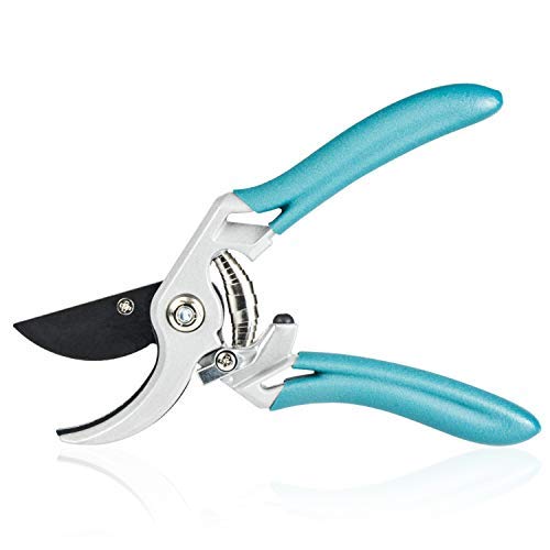 BUTTERFLY LOVE 8″ Sharp Garden Pruning Shears, Garden Hand Pruner Professional for Garden Work, Garden Scissors Pruning Shears Clippers, Bypass Pruning Shears for The Garden Plants (Blue)