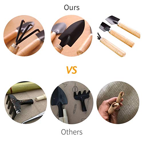 Bonsai Tool Kit, Bonsai Tree Kit Succulent Gardening Tools Set Of 8 Pcs