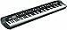 Korg SV188BK - 88 - Key Digital Piano with Vintage Sounds, Black (Renewed)