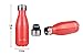 anature Stainless Steel Water Bottle,Double Wall Vacuum Insulation with Protective Silicon Pad;Perfect for Lunchbox,Backpack,Handbag;Small Size,9oz,Peach Red