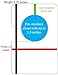 12 Blank White Clothing Size Dividers Adults or Baby Nursery Large 5.25x3.5 Inches (Regular)