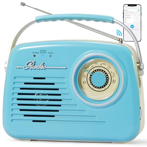 Bingxue Portable Am Fm Radios