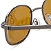 Eagle Eyes Aviator Polarized Sunglasses - The SierraVu Metal Rims
