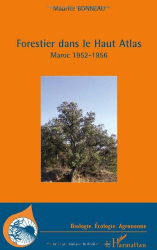Forestier dans le haut Atlas
