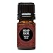Head Ease Synergy Blend Essential Oil by Edens Garden- 5 ml (Comparable to DoTerra's PastTense)