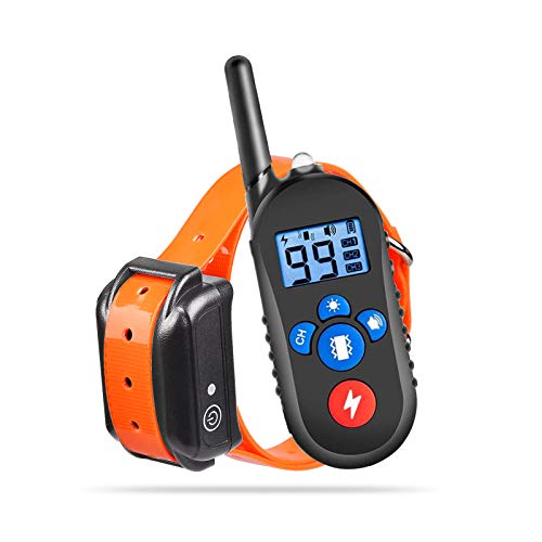 shock collar for labs