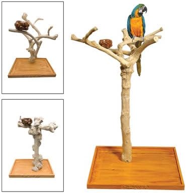 Island Wood Bird Play Stand Large Floor Stand 24" x 32" x 60"